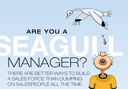Seagull management